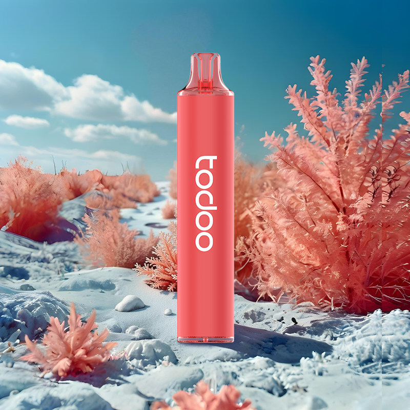 todoo_glo_2500